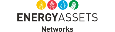 Energy Assets Networks Logo